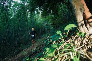 BIB: 
                            <button type="button" onclick="openModal(28124270)" class="btn btn-primary btn-sm float-right btn-popup" data-toggle="modal" data-target=".modal-high-quality">
                        <i class="fas fa-shopping-cart"></i> Add to Cart
                    </button>
                                            <button type="button" onclick="isThisMe(28124270, true)" class="btn btn-success btn-sm float-right btn-popup btn-isme hidden" data-toggle="tooltip" data-placement="bottom" title="นี่คือรูปของคุณใช่ไหม คลิกที่นี่เพื่อเอาเข้าอัลบั้ม">
                        <i class="fas fa-plus"></i> Add to album
                    </button>
                    <button type="button" onclick="isThisMe(28124270, false)" class="btn btn-warning btn-sm float-right btn-popup btn-isnotme hidden">
                        <i class="fas fa-ban"></i> Remove from album
                    </button>